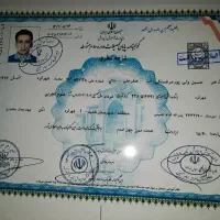 اخذ تحصیلی فوری معتبر