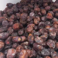 حرما بریم و گنطار درجه یک|خوردنی و آشامیدنی|شادگان, |دیوار