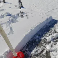 به  خمیر گیر نیاز داریم