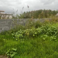 فروش ویژه زمین مسکونی در نوار ساحلی