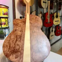 گیتار واشبورن|گیتار، بیس، امپلیفایر|شیراز, محمدیه|دیوار