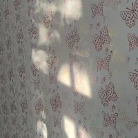 نقاشی ساختمان سفیدکاری طرح کاغذدیواری کناف دراهنی|خدمات پیشه و مهارت|اردبیل, |دیوار