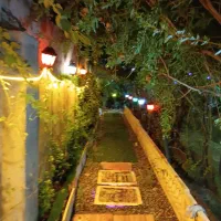 اجاره-ساعتی-و-روزانه-باغ-جنگلی