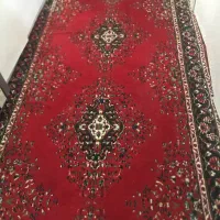 کناره زرشکی