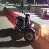 vox بدون درحد