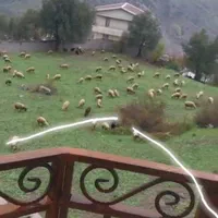 فروش یا معاوضه زمین ۲۰۰ متری