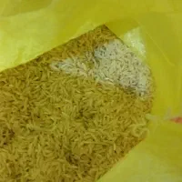 برنج فجر نو|خوردنی و آشامیدنی|شیراز, شهرک گلستان شمالی|دیوار