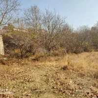 باغ فروشی|فروش زمین و ملک کلنگی|لواسان, |دیوار