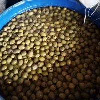 پخش خیارشور ،زیتون،ترشی،اب معدنی با قیمت مناسب