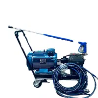 فروش کارواش