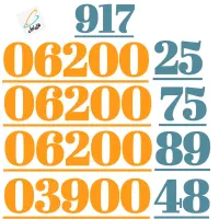 917.062.00.89|سیم‌کارت|شیراز, معالی‌آباد|دیوار