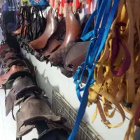 تجهیزات اسب|اسب و تجهیزات اسب‌سواری|قدس, شهر‌قدس|دیوار