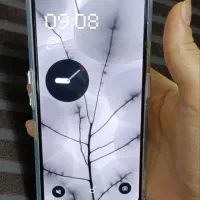 ناتینگ فون ۲ رنگ سفید رم ۱۲ حافظه ۲۵۶