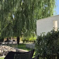 گارسون