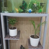 آکواریوم شیشه خم شرکتی با تمام وسایل