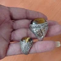 جفت چشم ببر
