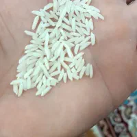 برنج‌ درشت هاشمی و لاشه هاشمی درجه یک گیلان|خوردنی و آشامیدنی|قزوین, |دیوار