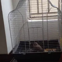 یک قفس پرنده