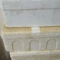 جایخی یایونولیت ماهی