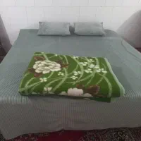 سوئیت دربست این عکسها مطلق همین سوئیت هست