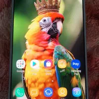 فروش چندعددگوشی