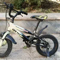 دوچرخه برند TPT