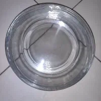 یازده عدد بشقاب خارجی پلوخوری و دو دیس