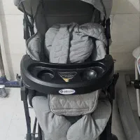 کالسکه وکریر دلیجان