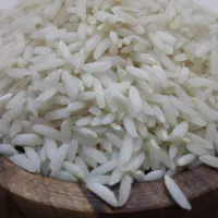 هاشمی کشاورز