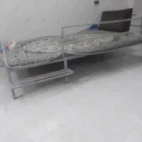 تخت