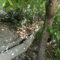 ۱۵۰ متر زمین/ لواسان بزرگ / داخل بافت/ سند تک برگ