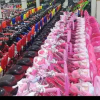 دوچرخه 24 ویوا کمکدار لقمه ای xyxvh