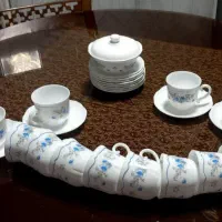 ظروف پذیرایی