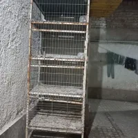 جفت کن چهار طبقه|لوازم جانبی حیوانات|قرچک, میرزائی شمالی|دیوار