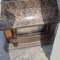 دوتا بخاری باهم ۷