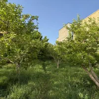 1765-متر-باغ-سربندان-دماوند