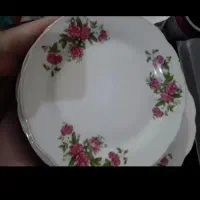 فروش گل سرخ قدیمی|کلکسیون اشیاء عتیقه|اردبیل, |دیوار