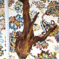 چوب دکوری آکواریوم