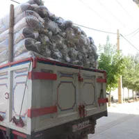 فرش ۱۲متری و ۹متری و ۶متری ورساج زیبا|فرش|خرمآباد, |دیوار