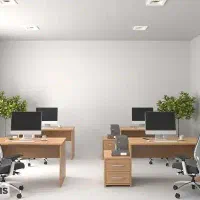 حسابدار مسلط به سپیدار