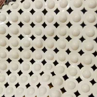 تعدادی پادری