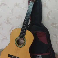 گیتار آیبانز