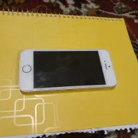 سالم با ضمانت