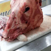 کله گوساله چاق و پر گوشت