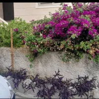 فروش ویلا ۶۰متری شهرکی عباس آباد|فروش خانه و ویلا|عباسآباد, |دیوار