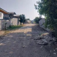 فروش فوری زمین  باغی|فروش زمین و ملک کلنگی|دابودشت, |دیوار