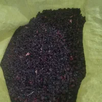 زرشک کوهی منطقه باجگیران
