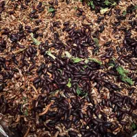 سوسک تاریکی