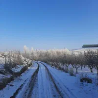 استخدام کارگر و نگهبان باغ|استخدام سرایداری و نظافت|اهر, |دیوار