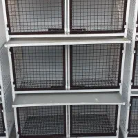 جفت کن کبوتر جفت کنی قفس